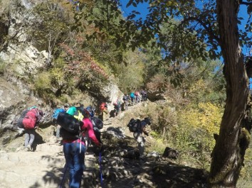 Why is Nepal Trekking so popular in the World?
